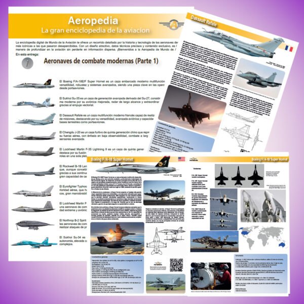 producto 7 Aeronaves de combate modernas (Parte 1)